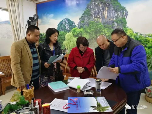 陽江迎春開門紅 歡樂祥和、平安有序、優質服務的旅游新氣象